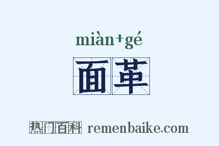 面革是什么意思的图片